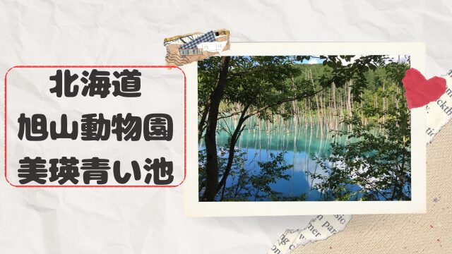 北海道美瑛